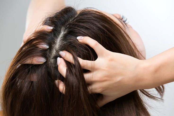 What Happens If You Ignore Hair Fall for 6 Months? (The Truth Most People Don’t Realize)